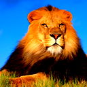 Михаил Бойко