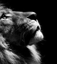 Лёша Белоусов