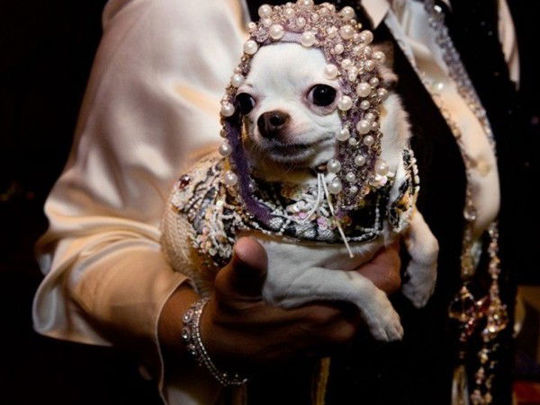 Жанна Фирстова