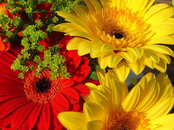 Дмитрий Какаулин