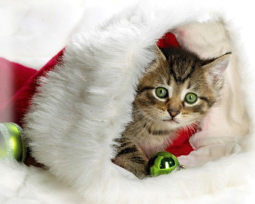 Наталия Быстрова