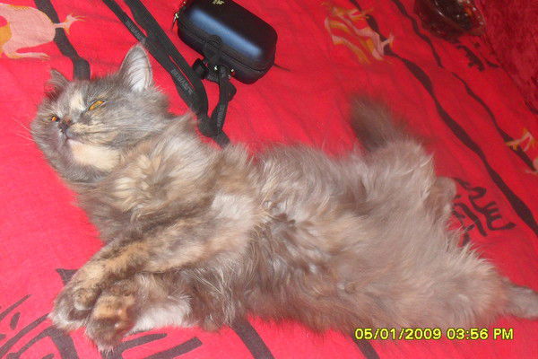 Юлия Сайфуллина