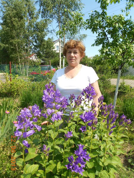 Нина Загрядская