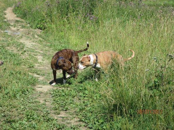 Марина Саморукова