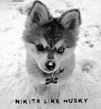 Никита Вишневский