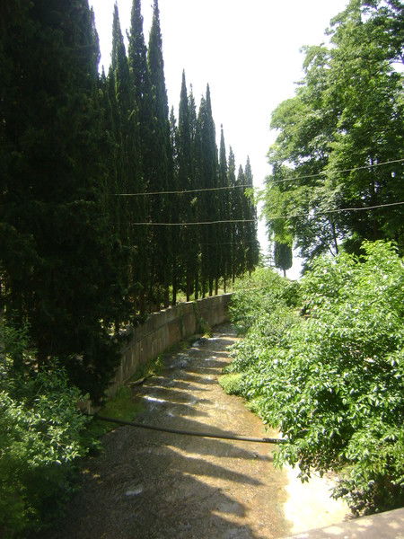 Елена Родюшкина