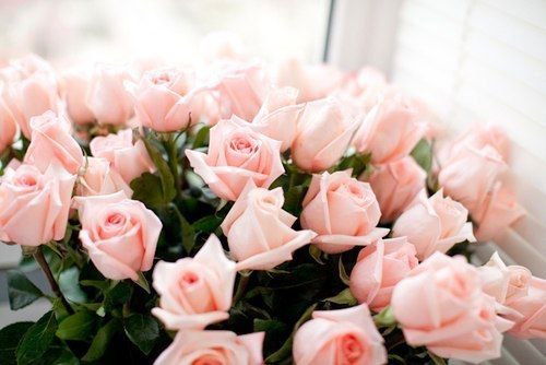 Турсынгул Муханбетжанова