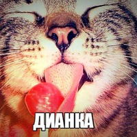 Диана Сибагатуллина