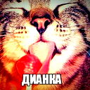 Диана Сибагатуллина