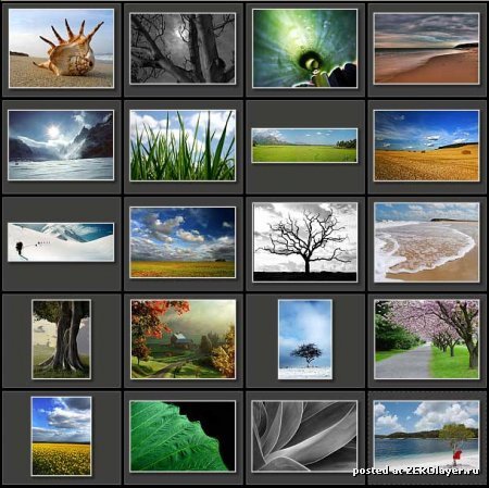 Зарина Айнекова