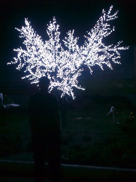 Игорь Алмазов