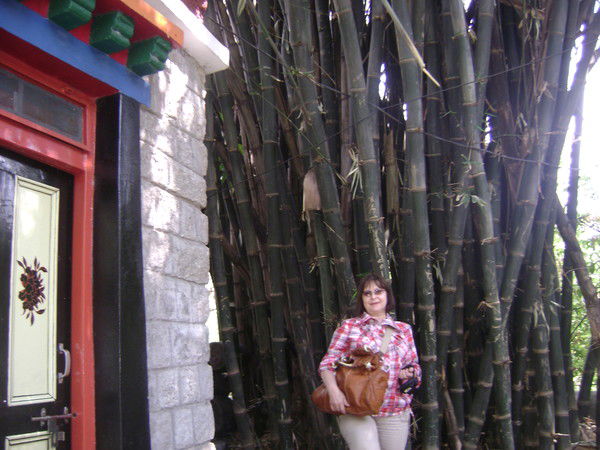 Тамара Родыгина