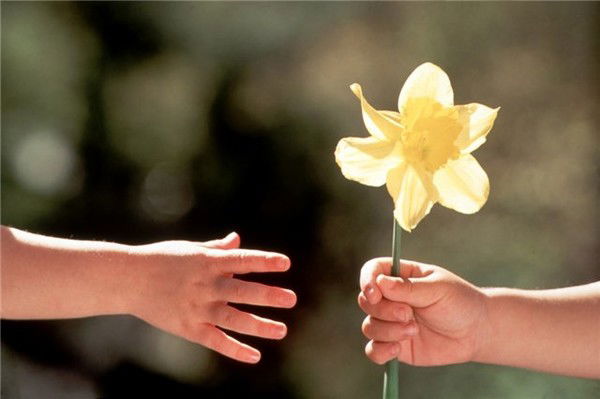 Евгения Суроваткина