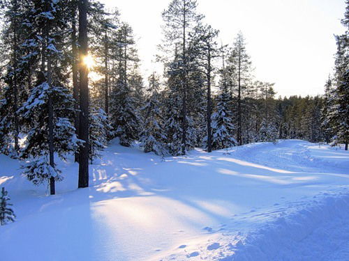 Ольга Савватеева