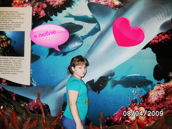 Samaia Samaia!!! !!!***