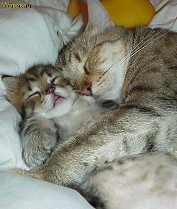 Галина Светличная