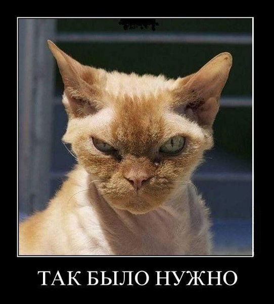 Евгений Антонов