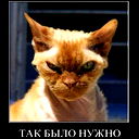 Евгений Антонов