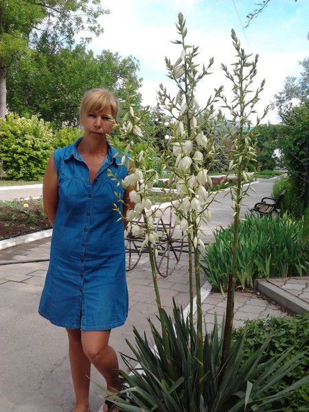 Наталия Скорина