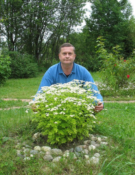 Григорий Штильман