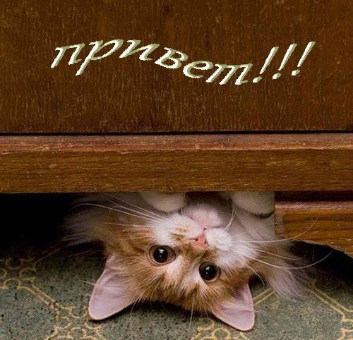 Светлана )))