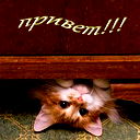 Светлана )))
