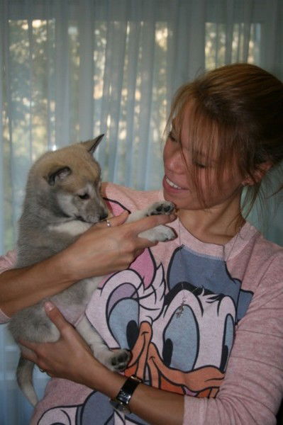 Неизвестно Неизвестно