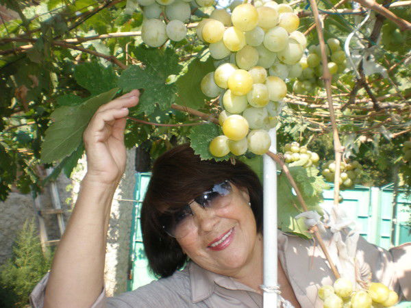 Ноила Мустаева