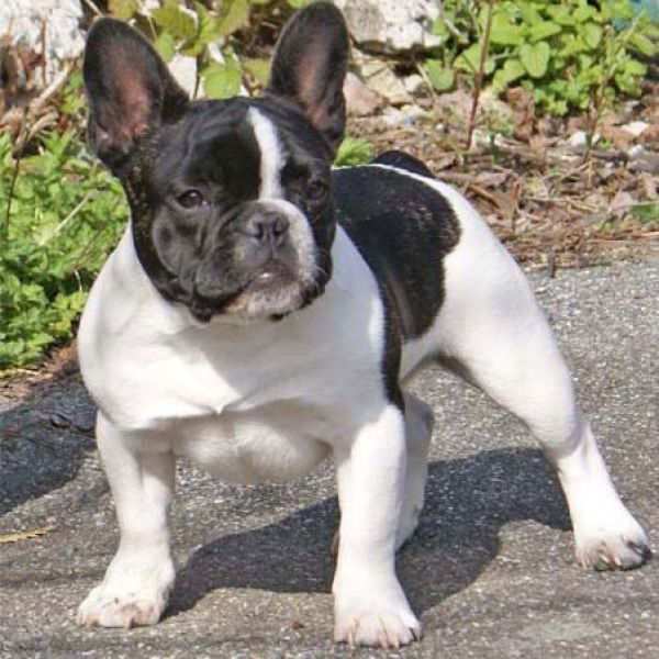 Евгений Кудряшов