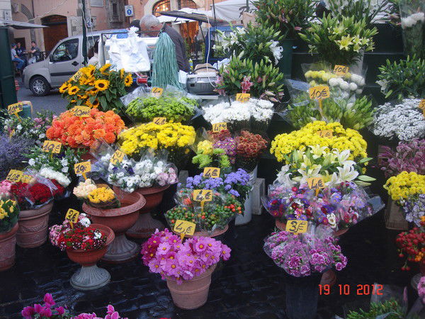 Элина Сурдина