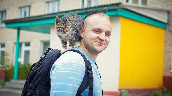 Свадебный Фотограф Виктор