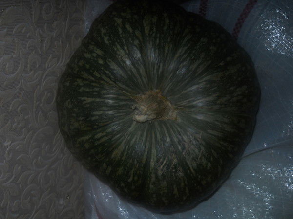 Алексей Щеглов