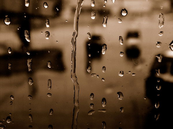 Дмитрий Болдырев