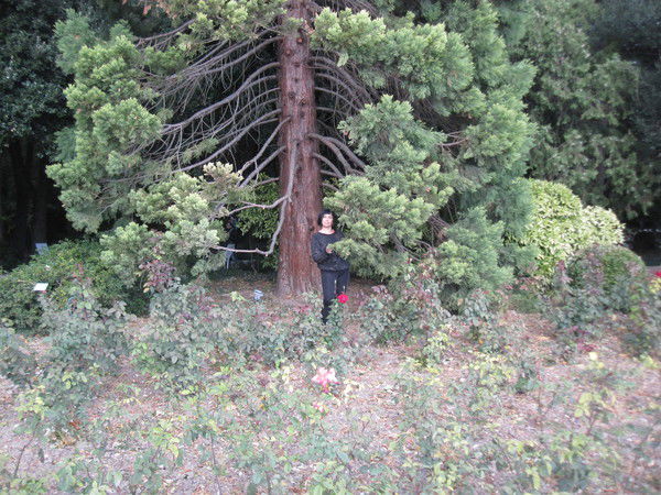 Лариса Попова (Семенюк)