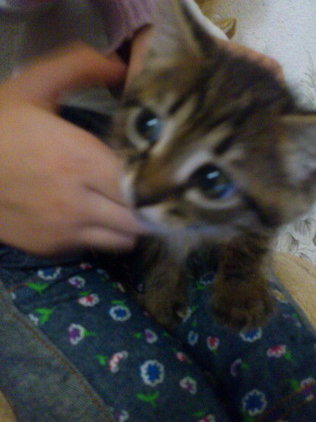 Карина Хусаинова