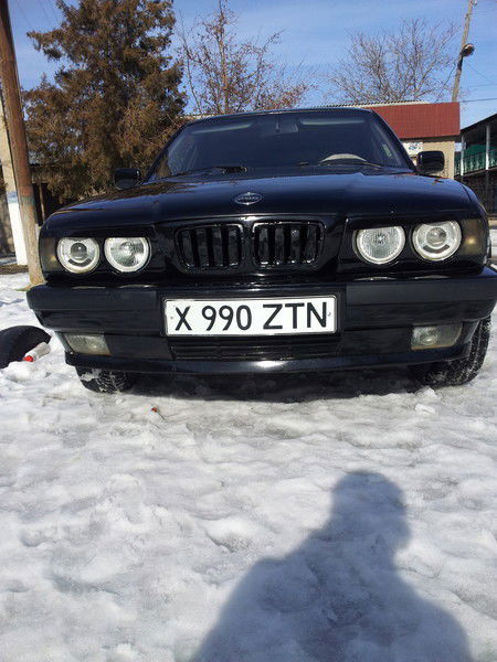 Kassandra *вmw* Saydmahmudova