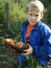 Антон Телегин