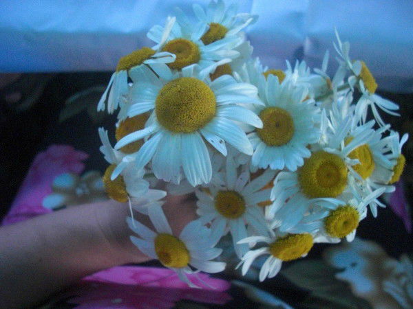 Георгий Касьмин