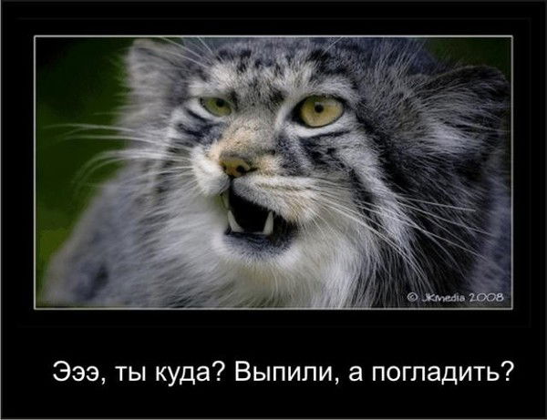 Павел Бородин