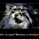 Павел Бородин