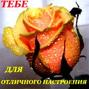 Dana Behbulatova