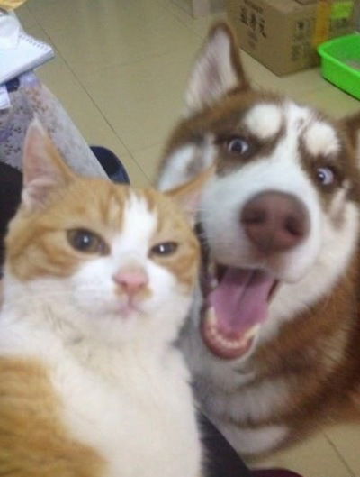 Илья Алексеев