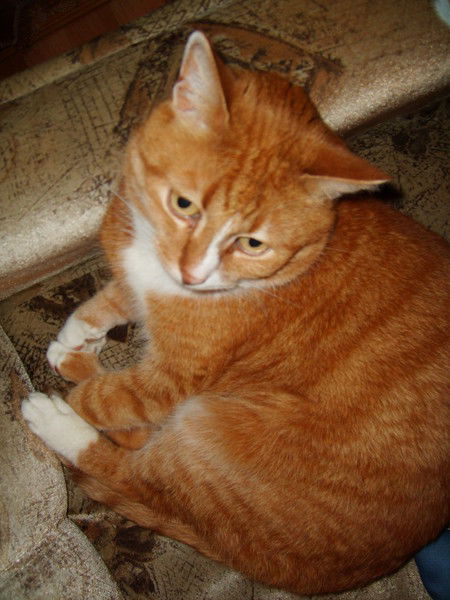 Екатерина Кожевникова