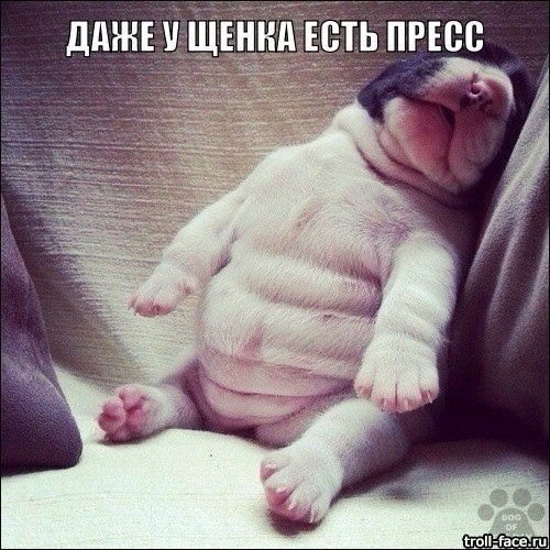 Сергей Юрьевич Васильев