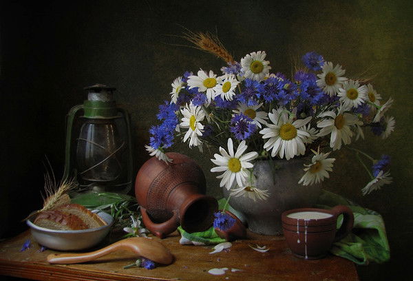 Алена Донцова