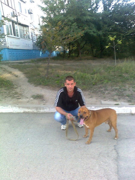 Сергей Новиков