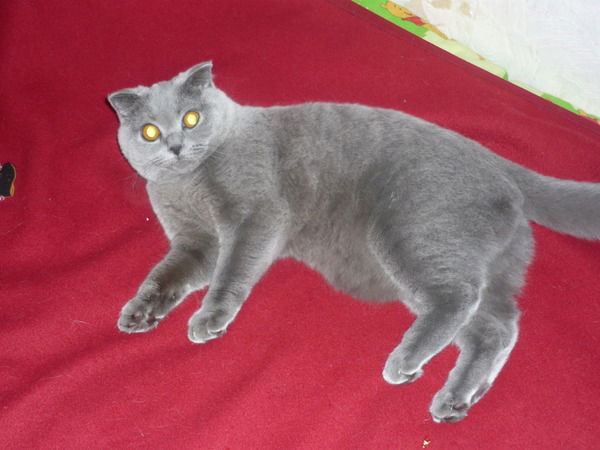 Татьяна Рыжова