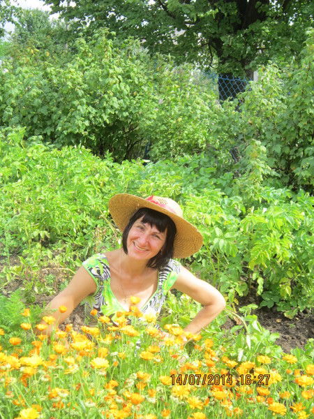 Елена Березкина