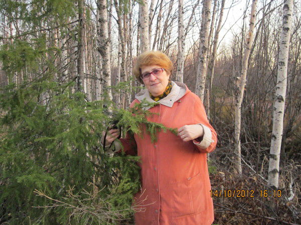 Елене Прокопович