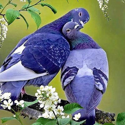 Никита Дымов